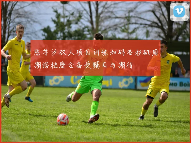 陈芋汐双人项目训练加码洛杉矶周期搭档磨合备受瞩目与期待